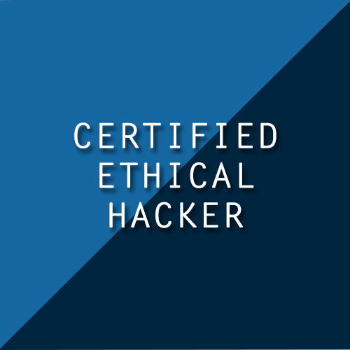 Best Ethical hacking Institute